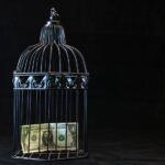 The Most Dangerous Money Traps Americans Face in a High-Rate Economy A black birdcage containing dollar bills on a dark background
